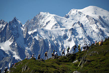 Marathon do Mont Blanc Marathon do Mont Blanc
